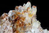 Hemimorphite Crystal Cluster - Chihuahua, Mexico #81115-1